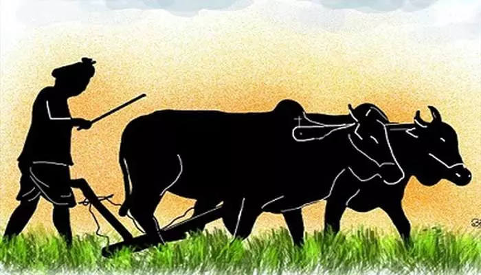 Agriculture: రైతును రాజుగా చూడాలంటే?