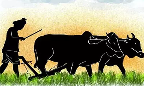 Agriculture: రైతును రాజుగా చూడాలంటే?