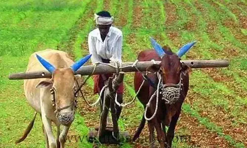 అన్నదాతకు అప్పుల బాధ.. భరోసాపై ఆశలు వదులుకున్న రైతులు