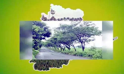 Telangana: ఇక్కడ మీ పాచికలు పనిచేయవు?