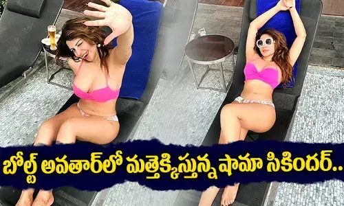 Shama Sikander : బోల్ట్ అవతార్‌లో మత్తెక్కిస్తు.. ఆ పార్ట్స్ చూస్తే..