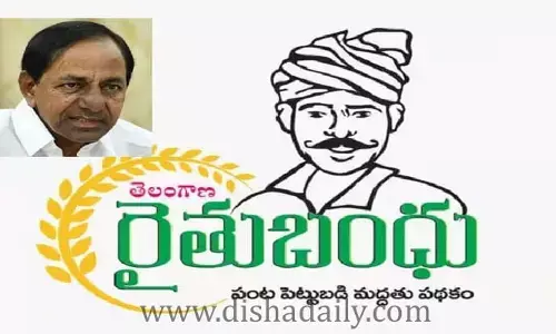 కేసీఆర్ కు కింది స్థాయి ఉద్యోగి సలహా!