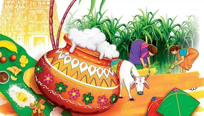 సంక్రాంతి మీనింగ్ తెలుసా...? సంక్రాంతి మీనింగ్ తెలుసా...?