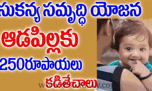 ఆడ పిల్లల భవిష్యత్తుకు Sukanya Samriddhi Yojana.. రూ. 250 లతో 5 లక్షల రూపాయలు