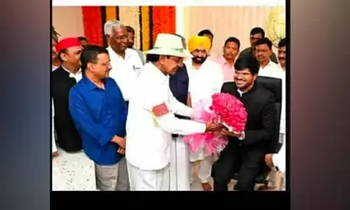 Education: దటీజ్ స్టడీ వాల్యూ...