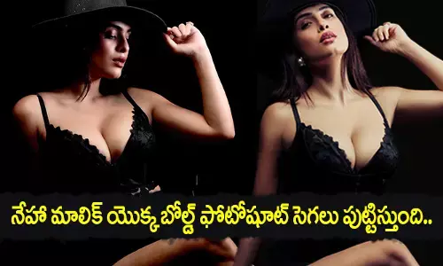 నేహా మాలిక్ యొక్క బోల్డ్ ఫోటోషూట్ సెగలు పుట్టిస్తుంది..