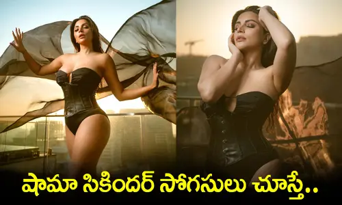 మేగాలను కమ్మేసిన నిండైన అందాలు.. షామా సికిందర్ సోగసులు చూస్తే..