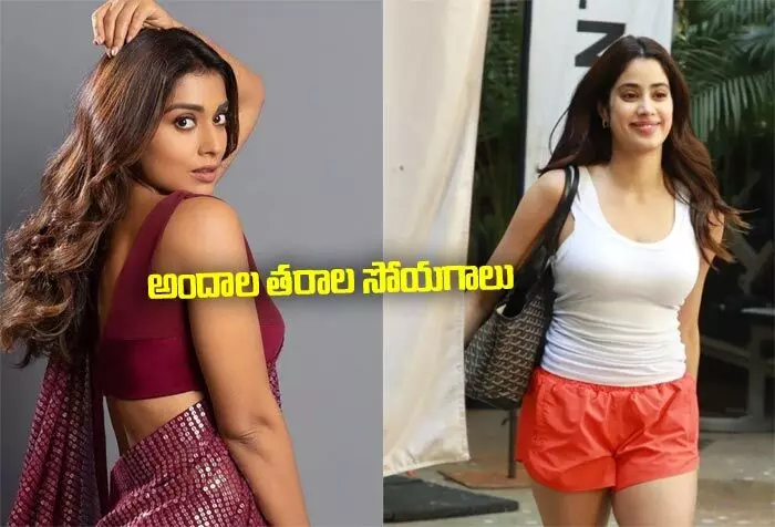 అందాల తరాల సోయగాలు అందాల తరాల సోయగాలు