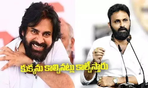 కుక్కను కాల్చినట్లు కాల్చేస్తారు.. పవన్ కల్యాణ్‌పై కొడాలి నాని సంచలన వ్యాఖ్యలు