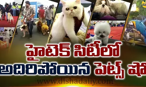 హైటెక్స్‌లో కొనసాగుతున్న పెటెక్స్ షో