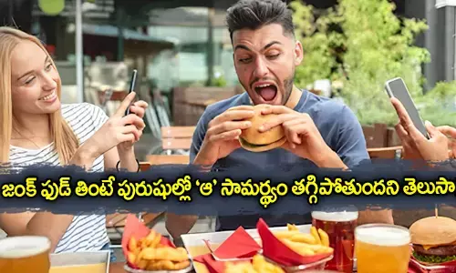 Junk Food తింటే పురుషుల్లో ఆ సామర్థ్యం తగ్గిపోతుందని తెలుసా !