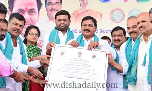 తాండూరు కందిపప్పుకు అంతర్జాతీయ గుర్తింపు : మంత్రి నిరంజన్ రెడ్డి