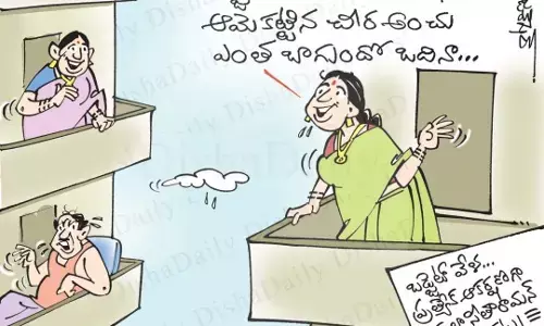 నిర్మలా సీతారామన్ బడ్జెట్ కార్టూన్ 02-02-2023