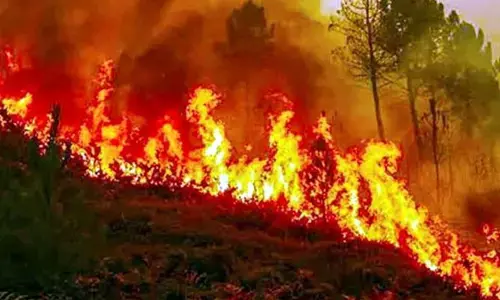 బ్రేకింగ్: అమ్రాబాద్ టైగర్ రిజర్వ్  ఫారెస్ట్‌లో భారీ అగ్ని ప్రమాదం