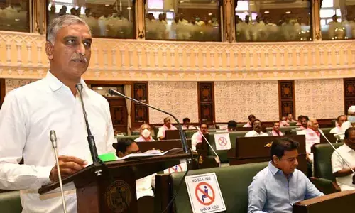Telangana Budget 2023: మున్సిపల్ శాఖకు కేటాయింపులు ఎన్నంటే?