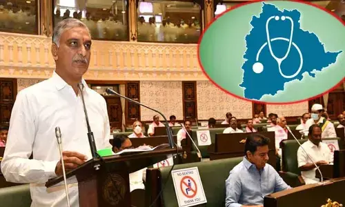 Telangana Budget 2023 : ఆరోగ్య శాఖకు రూ. 12,161 కోట్లు