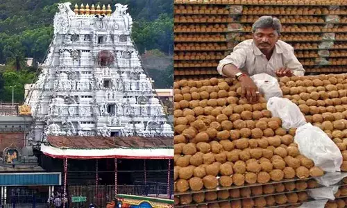తిరుపతి లడ్డు గిఫ్ట్ ప్యాక్ చేయాలి