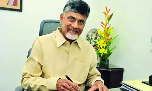 గ్రానైట్ అక్రమ తవ్వకాలను అడ్డుకోవాలని ఏపీ, తమిళనాడు సీఎస్‌లకు చంద్రబాబు లేఖ