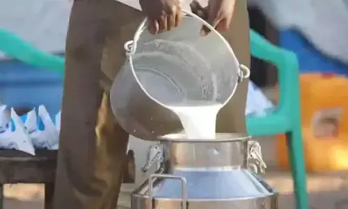 Vijaya Dairy : పాడి రైతులకు విజయ డెయిరీ భారీ గుడ్ న్యూస్