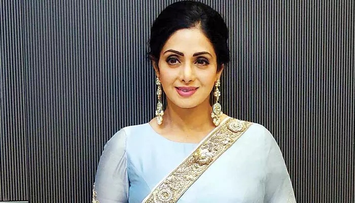 Sri Devi అభిమానులకు గుడ్ న్యూస్.. బయోగ్రఫీకి ఫ్యామిలీ గ్రీన్ సిగ్నల్