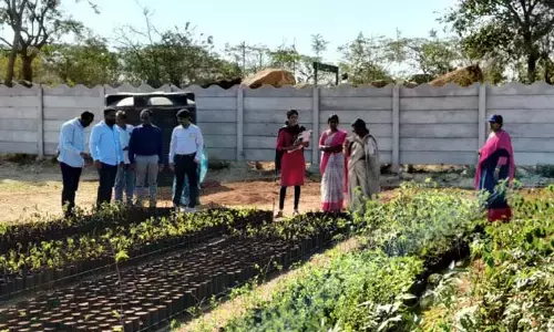 దామరకుంటను సందర్శించిన జలశక్తి అభియాన్ బృందం..