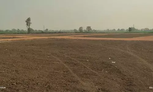అనుమతులు నిల్... అమ్మకాలు ఫుల్..