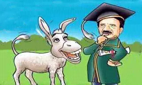 కథా సంవేదన: డాక్టర్ గాడిద