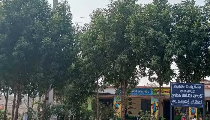హరితహారం‌లో డేంజర్ చెట్లు.. భయపడుతున్న ప్రజలు