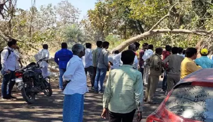 రోడ్డుకు అడ్డంగా కోప్పకూలిన చెట్టు.. రోడ్డుకు అడ్డంగా కోప్పకూలిన చెట్టు..