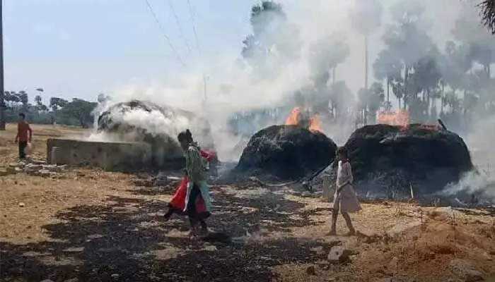 ప్రమాదవశాత్తు గడ్డివాములు దగ్ధం ప్రమాదవశాత్తు గడ్డివాములు దగ్ధం