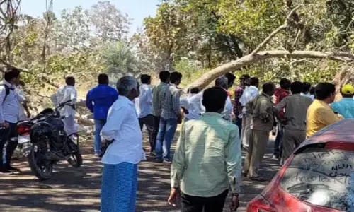 రోడ్డుకు అడ్డంగా కోప్పకూలిన చెట్టు..