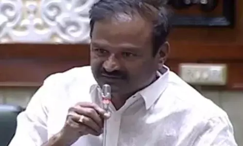 స్థానిక సమస్యలపై అసెంబ్లీలో మాట్లాడిన దేవరకద్ర ఎమ్మెల్యే ఆల