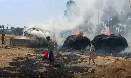 ప్రమాదవశాత్తు గడ్డివాములు దగ్ధం
