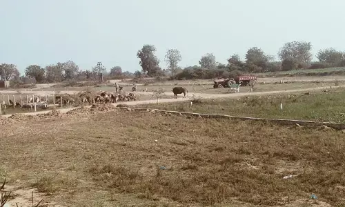 యథేచ్చగా అక్రమ వెంచర్లు