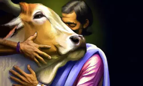 ఎద్దును ముద్దాడ‌నిది... ముద్ద దిగ‌దు
