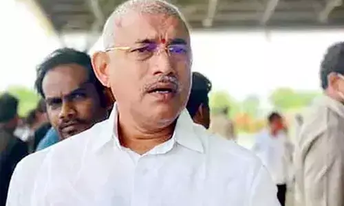 AP Minister Chelluboina: అభివృద్ధిలో ఏపీ అగ్రగామి