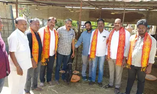 ప్రేమికుల దినోత్సవానికి వ్యతిరేకం.. గోశాలలో గో సేవ..