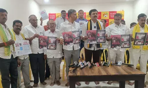సీఎం జగన్ కు ఏమాత్రం నైతికత ఉన్నా సీబీఐకి సహకరించాలి.. ఉమామహేశ్వర నాయుడు