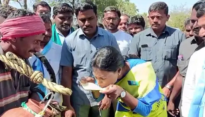 తాటిమట్ట బెరడులో కల్లు తాగిన షర్మిల తాటిమట్ట బెరడులో కల్లు తాగిన షర్మిల