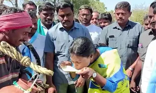 తాటిమట్ట బెరడులో కల్లు తాగిన షర్మిల