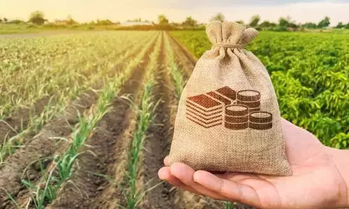 2 లక్షల వ్యవసాయ, పాడి, మత్స్య సొసైటీలు ఏర్పాటు