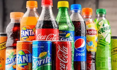 Cool Drinks : సమ్మర్ సీజనల్‌లో కూల్ డ్రింక్స్ అంత మంచిది కాదు !