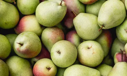 Pear Fruit : బేరి పండు యొక్క ప్రయోజనాలివే!