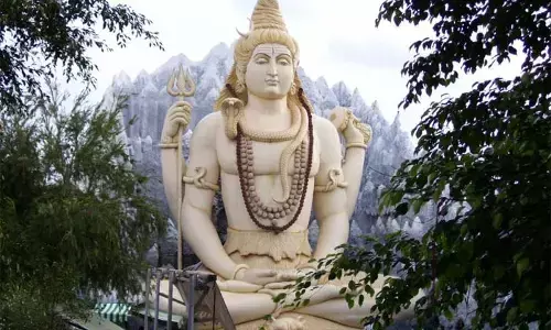 Maha Shivratri : శివరాత్రి రోజు ఉపవాసం ఉంటున్నారా.. ఈ జాగ్రత్తలు తప్పనిసరి!