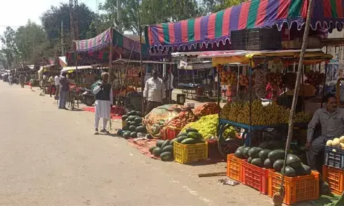 శివ..శివ.. పండ్ల ధరలకు రెక్కలు..