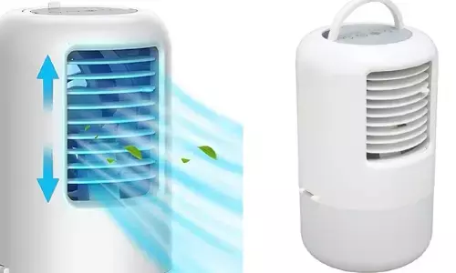 Portable AC: ఈ పోర్టబుల్ ఎయిర్ కండీషనర్ ధర తెలిస్తే షాక్ అవ్వాల్సిందే !