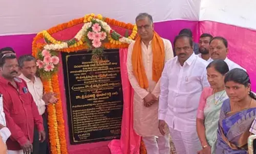 సాగునీటితో  బీడు భూముల్లో బంగారు పంటలు : మంత్రి హరీష్ రావు