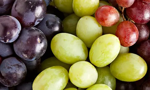 Grape Fruits: హైబీపీ, చర్మ క్యాన్సర్ల నివారణకు తోడ్పడుతున్న ద్రాక్షపండ్లు !