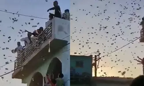 పెళ్లి ఊరేగింపులో నోట్ల వర్షం.. ఎగబడిన జనాలు(వీడియో)