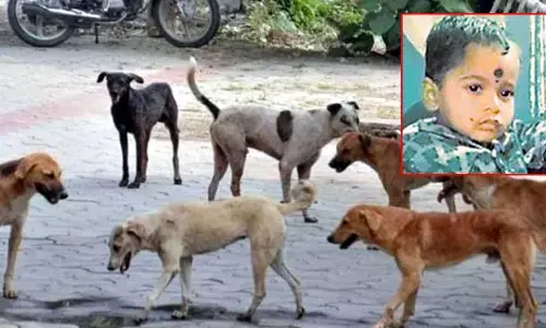 దారుణం.. వీధి కుక్కల దాడిలో నాలుగేళ్ల బాలుడి మృతి